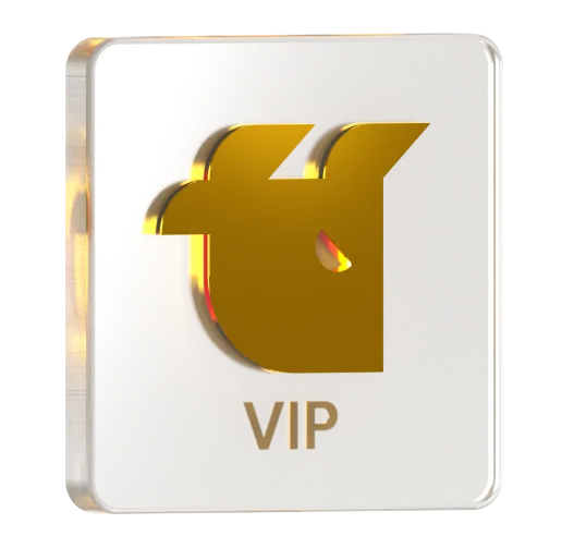 vip program